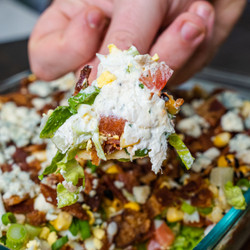 7 Layer Cobb Salad Dip