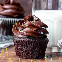 Double Chocolate Cupcakes