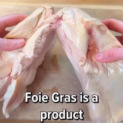 Faux Gras Terrine