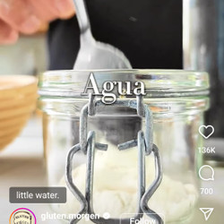 Sourdough Starter