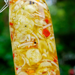 Sweet &amp; Spicy Garlic Refrigerator Pickles