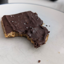Chocolate Peanut Butter Protein Bites