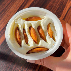 Viral 2 Ingredient Yogurt Cheesecake