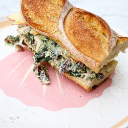 Chicken, Apple, Pecan, Cranberry Salad Sandwich