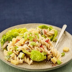 Pasta Salad On Lettuce Recipe