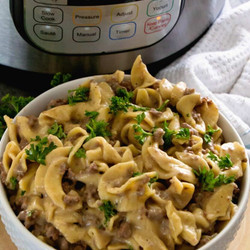 Instant Pot Ground Beef Stroganoff