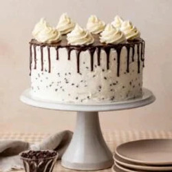 Chocolate Chip Cake With Ganache Drip