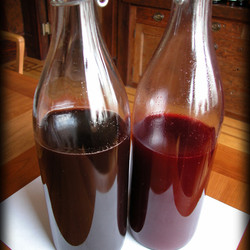 Black Cherry Balsamic Shrub