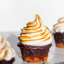 S'mores Cupcakes