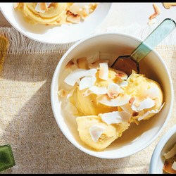 Tropical Sorbet