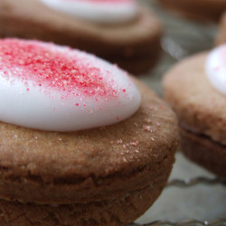 Belgian Biscuits