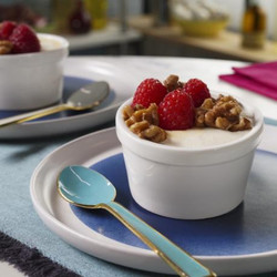 Greek Yogurt Panna Cotta