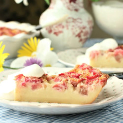 Crustless Rhubarb Custard Pie