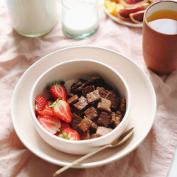 Cinnamon Hemp Crunch Cereal With Creamy Hemp Milk
