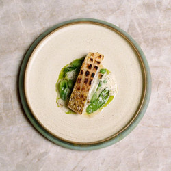 Golden Tilefish By Daniel Garwood