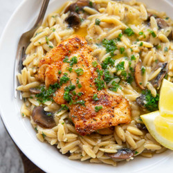 Garlic Butter Chicken Orzo