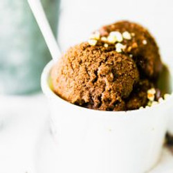 Vegan Espresso Dark Chocolate Sorbet