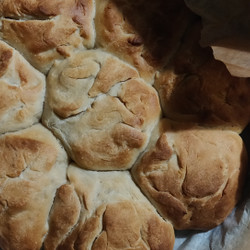 Senshi Bread