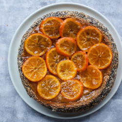 Flourless Butterless Poppy Seed Cake