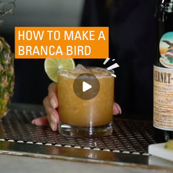 Branca Bird