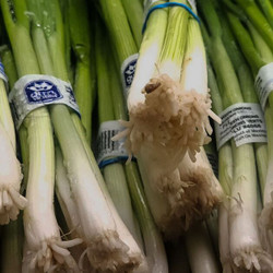 Infinite Spring Onion Trick