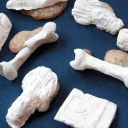 Sicilian Bones Of The Dead Cookies