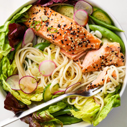 Salmon Noodle Bowl with Ponzu