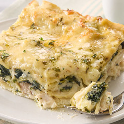 White Cheese Chicken Lasagna