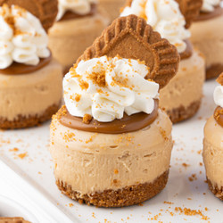 Mini Biscoff Cheesecakes