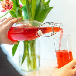 Hibiscus Ginger Water Kefir Soda