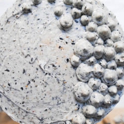 Greek Yogurt Cake With Black Sesame Buttercream