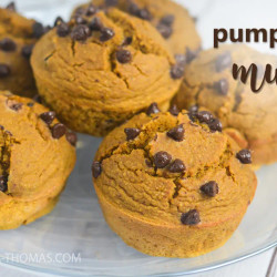 Pumpkin Chip Muffins (thm:e, Low Fat, Sugar Free, Gluten/dairy/nut Free) - Briana Thomas