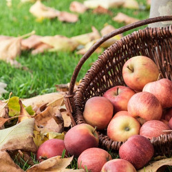 Classic Apple Pie