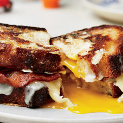 Egg-in-a-hole Sandwich With Bacon And Cheddar
