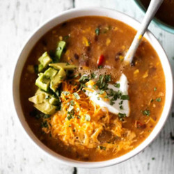 Tortilla Blender Soup