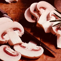 Champignons de Paris (Parisian Mushroom) Soup