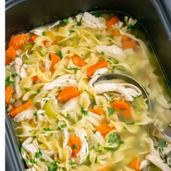 Slow Cooker f
Chicken Noodle Soup