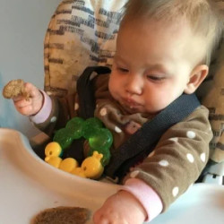 Amaranth Breakfast Cookies