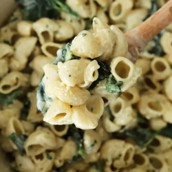 One Pot Lemon Garlic Parmesan Pasta