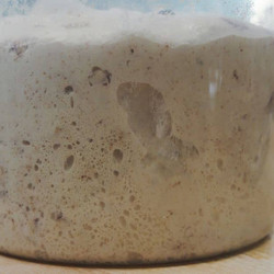12 Sourdough Bulk Fermentation Tips That Really Helped Me