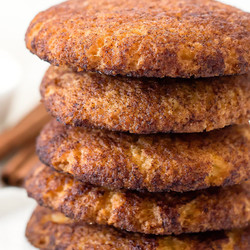 Keto Low Carb Snickerdoodles