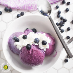 Ninja Creami Blueberry Ice Cream