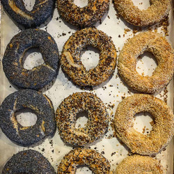 Montreal Style Bagel Recipe