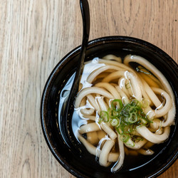 Homemade Udon Noodles In Dashi