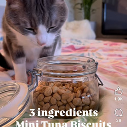 Cat treats
