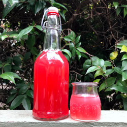 Naturally Fermented Hibiscus Soda - Zero-waste Chef