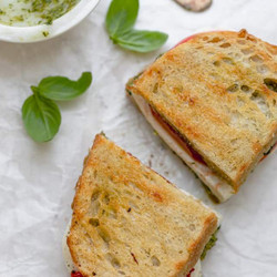 Grilled Mozzarella Sandwich