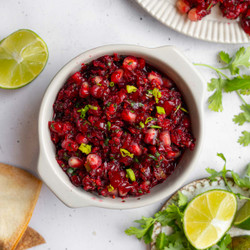 Cranberry Salsa