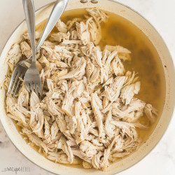 Juicy Shredded Chicken Recipe