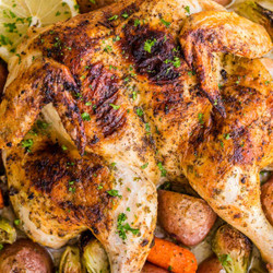 Spatchcock Chicken Recipe Video
